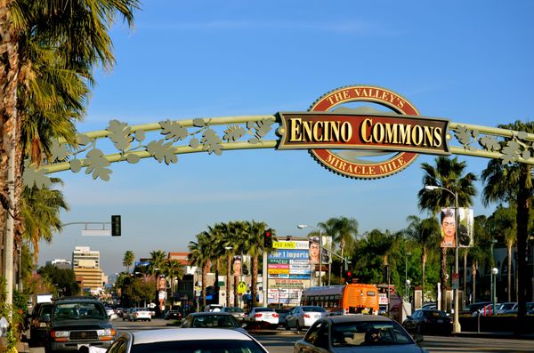 Encino Commons